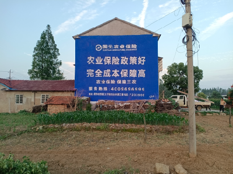 寻乌墙体广告的优劣势你知道吗?